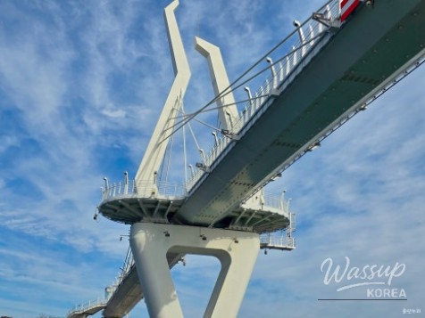 Pedestrian-friendly seaside route along Jinha Beach