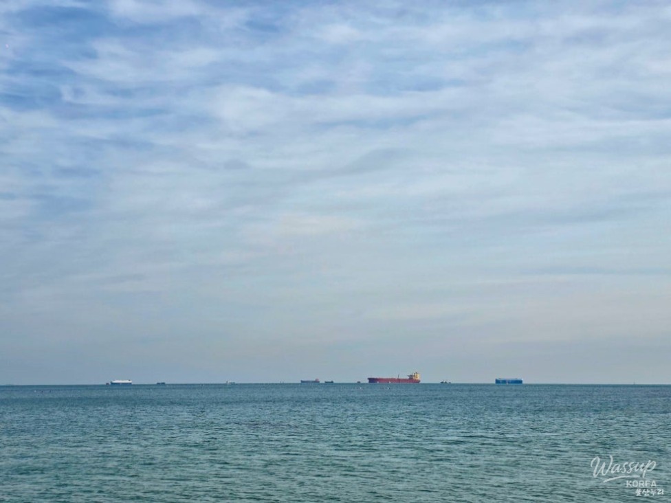 Quiet winter sea at Jinha Beach creating a peaceful walking atmosphere