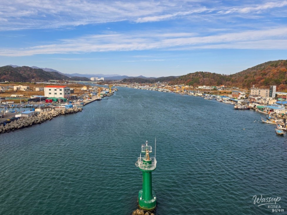 Seaside details captured during a winter walk