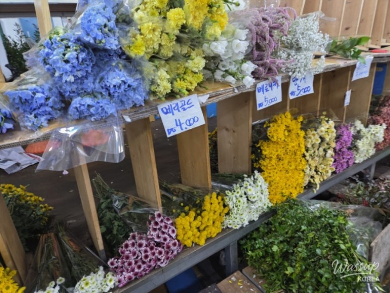 Exploring the Vibrant Namdaemun Market_08