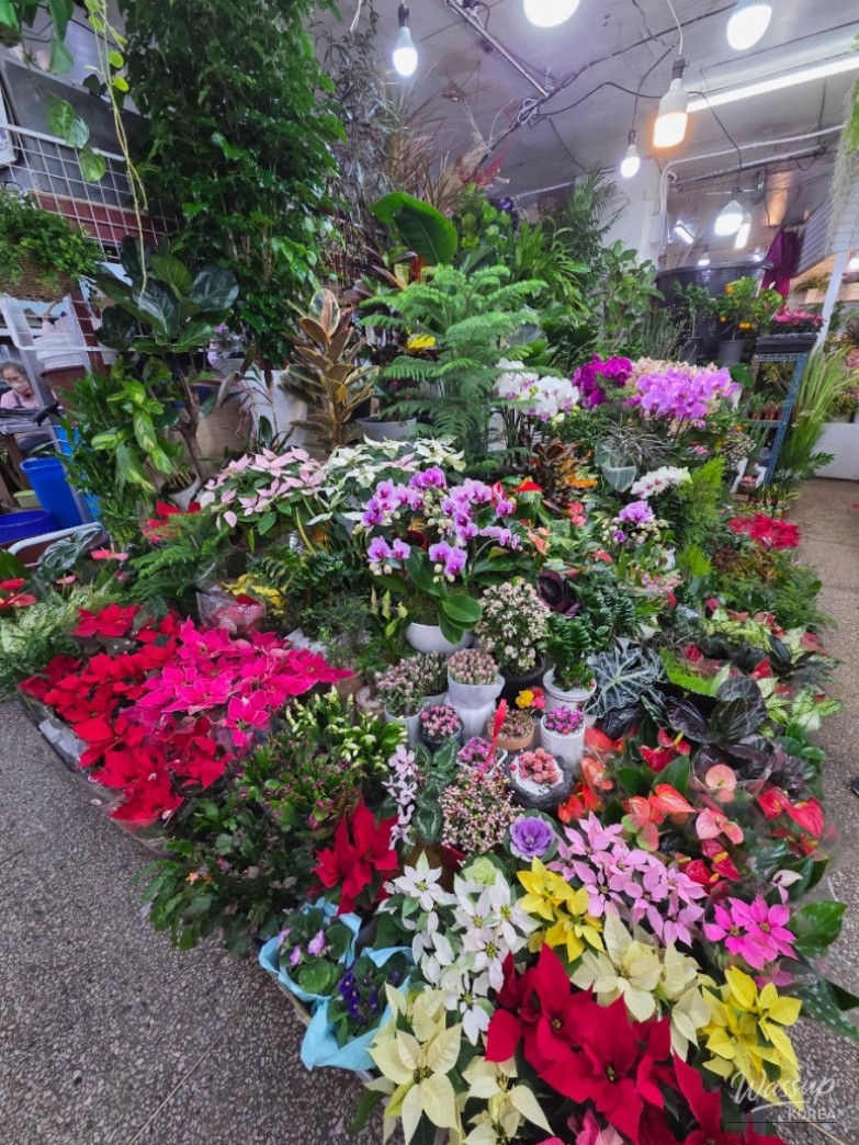 Exploring the Vibrant Namdaemun Market_11