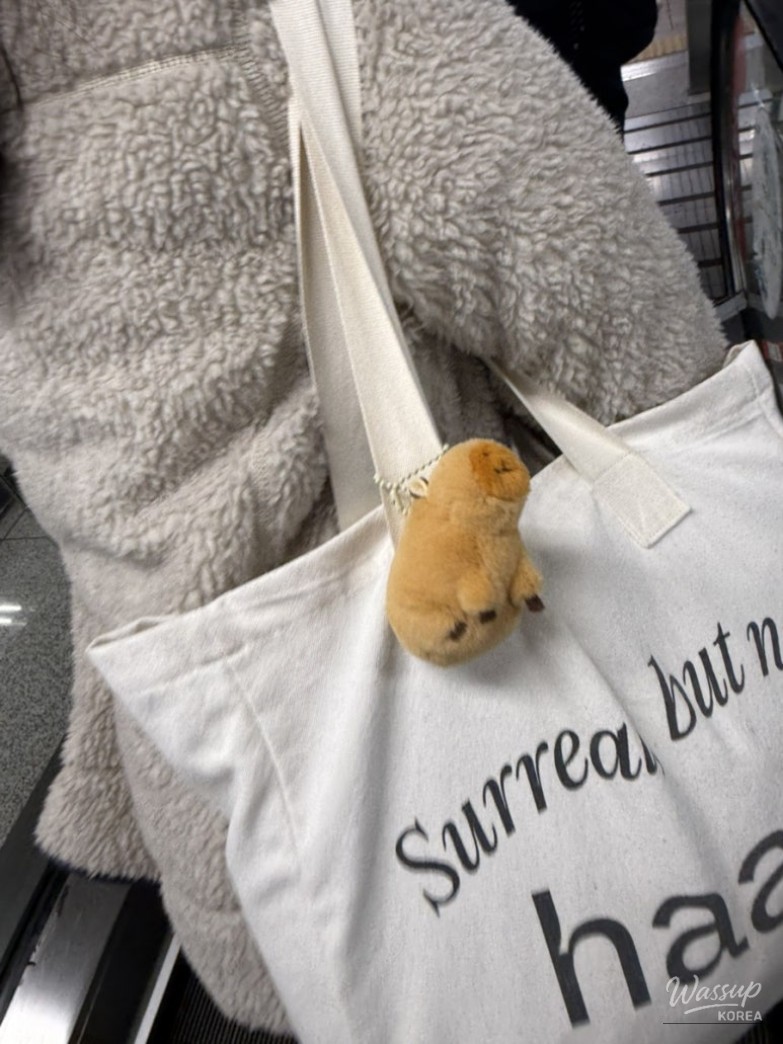 Gangneung Central Market street food and festive winter vibe