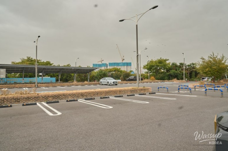 Octopus salad and sashimi at Mungaya in Jeju City