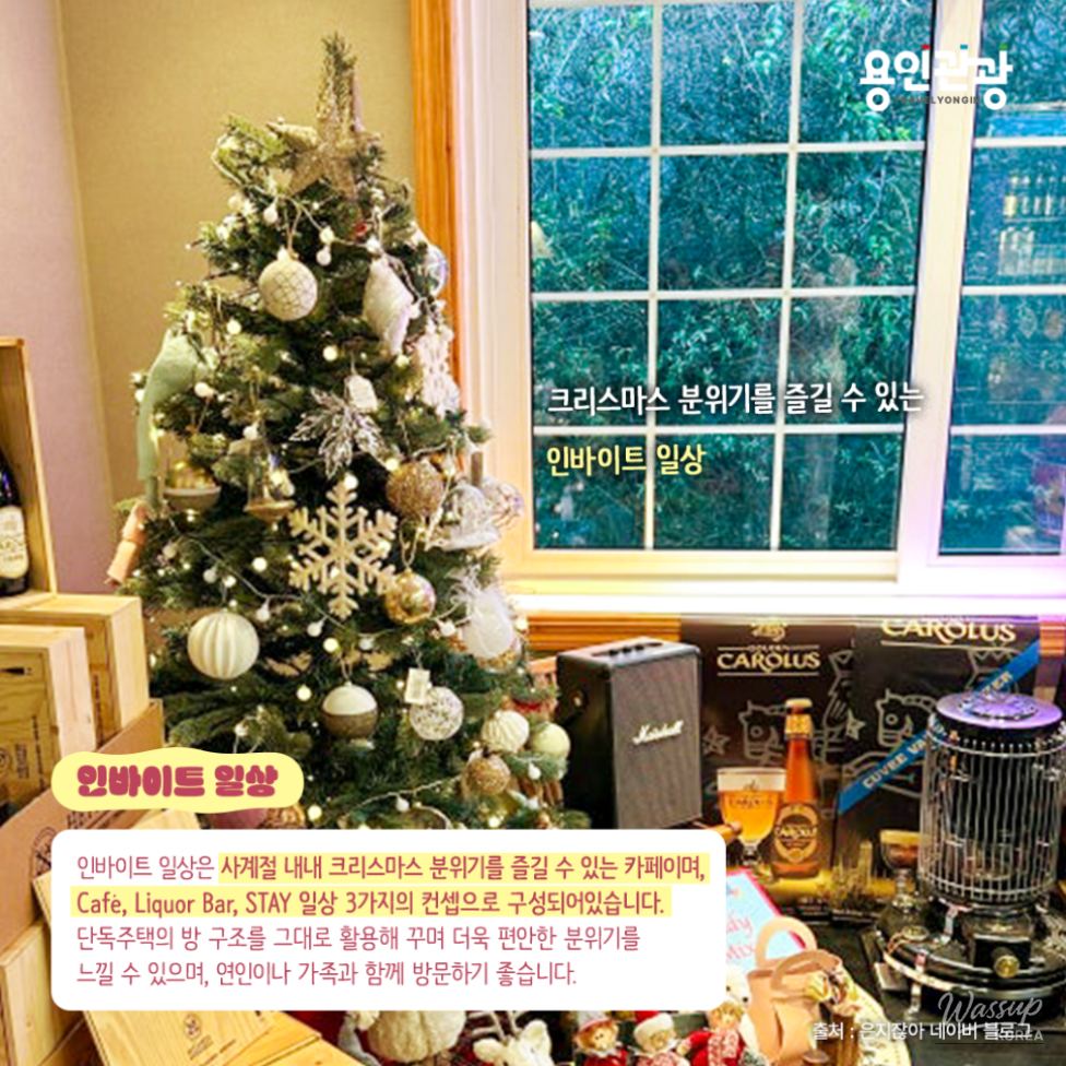 Large Christmas tree and festive decor inside Invite Daily cafe