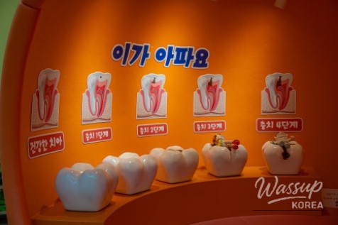 Local Health Guardian: Deoksan Health Living Support Center_05