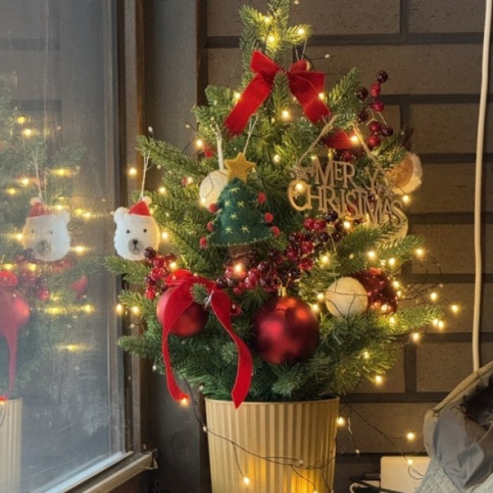 November daily life recap with food, friends, and seasonal moments