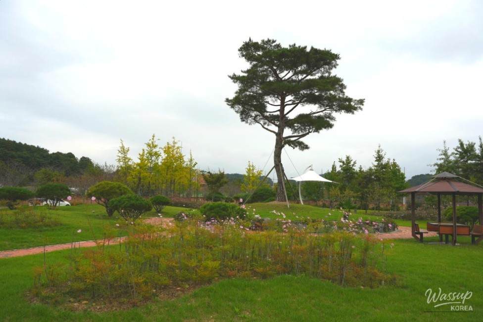 Tree-lined walking path offering a relaxing stroll through the park