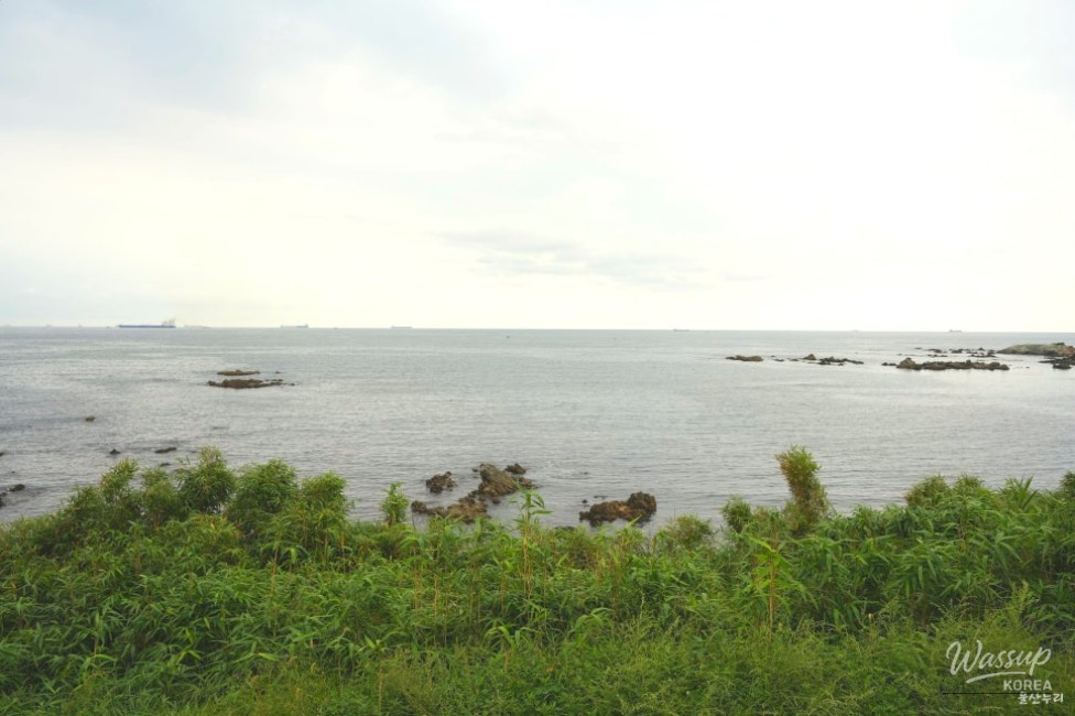 Panoramic coastal scenery surrounding Solgae Park near Solgae Beach