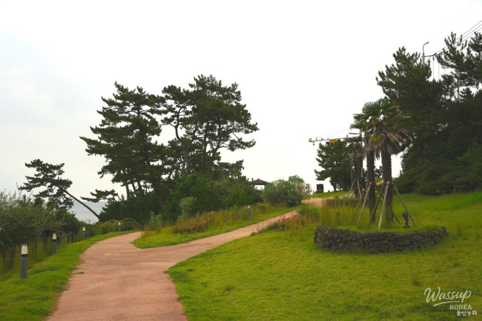 Outdoor exercise equipment available along the walking paths at Solgae Park