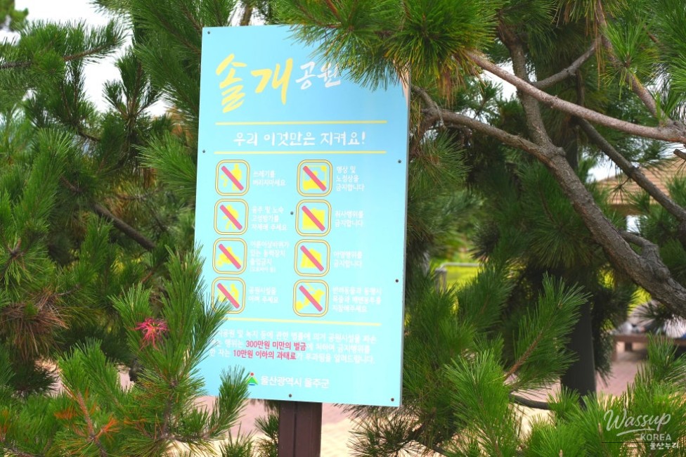 Benches facing the ocean at Solgae Park with calm coastal scenery