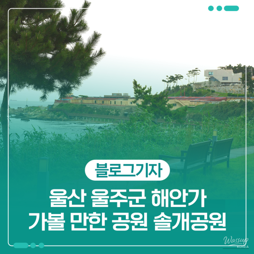Coastal walking paths and ocean views at Solgae Park in Ulsan