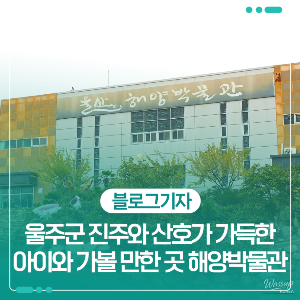Interior exhibition view of Ulsan Maritime Museum featuring marine specimens