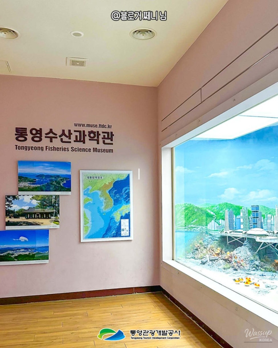 Family-friendly exhibition space at Tongyeong Fisheries Science Museum