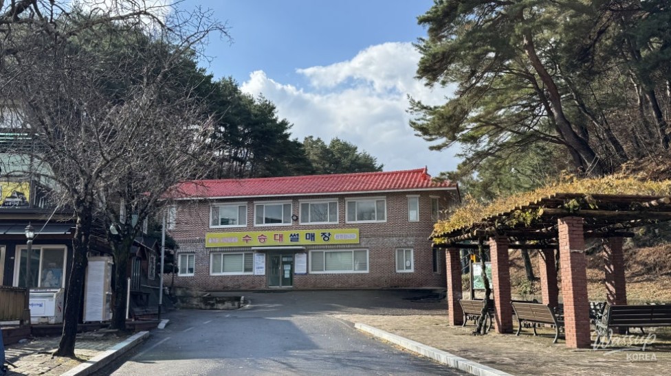 Experience the Thrill at Susungdae Sledding Park_01