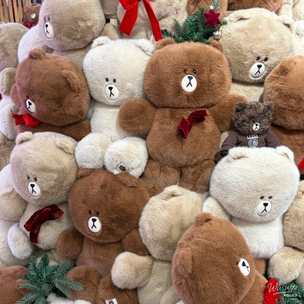 LINE FRIENDS BROWN 15th Anniversary popup in Myeongdong