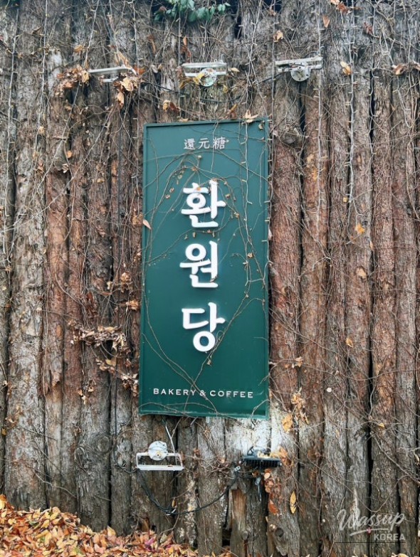 Winter walk near Children's Grand Park and cozy café visit