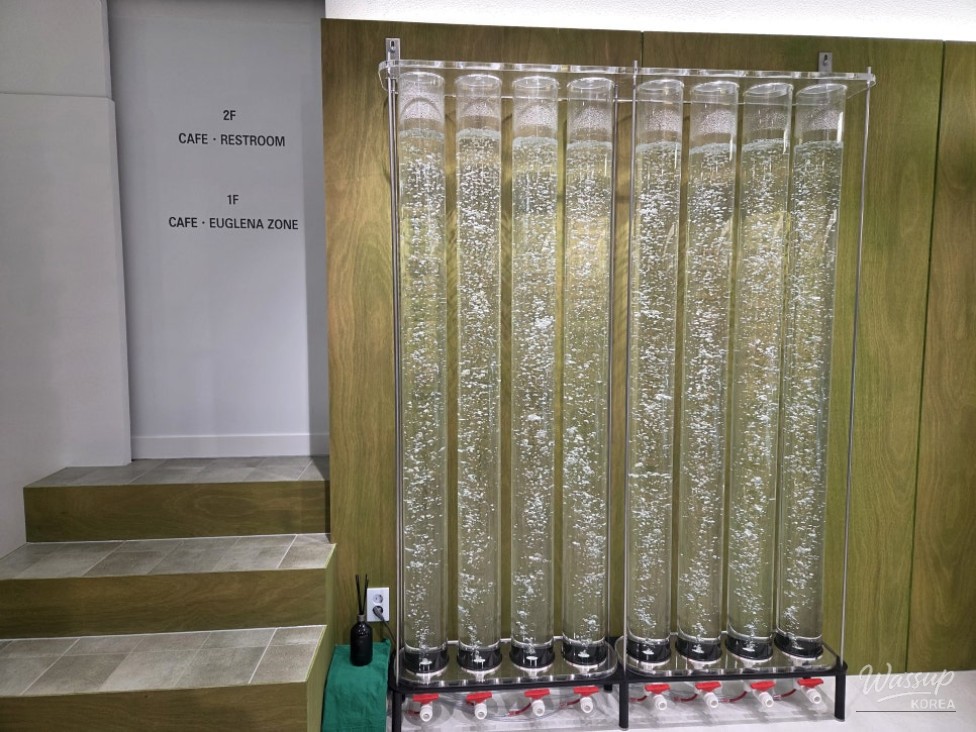 Additional macarons received during a renewal event at a Yeonnam-dong café