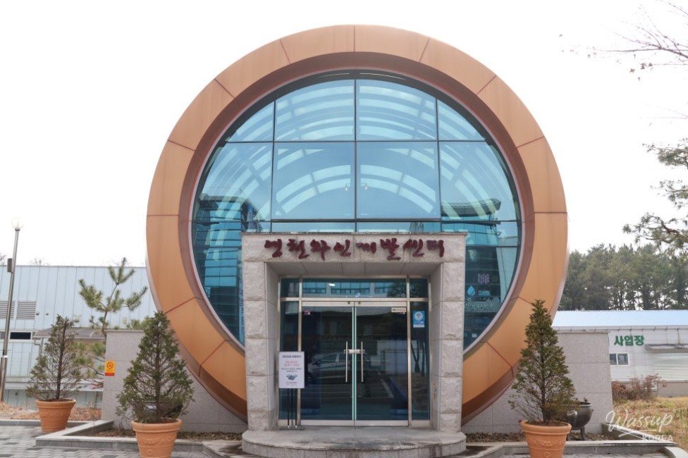 Oak barrel themed entrance and exhibition design inside Yeongcheon Wine Tunnel