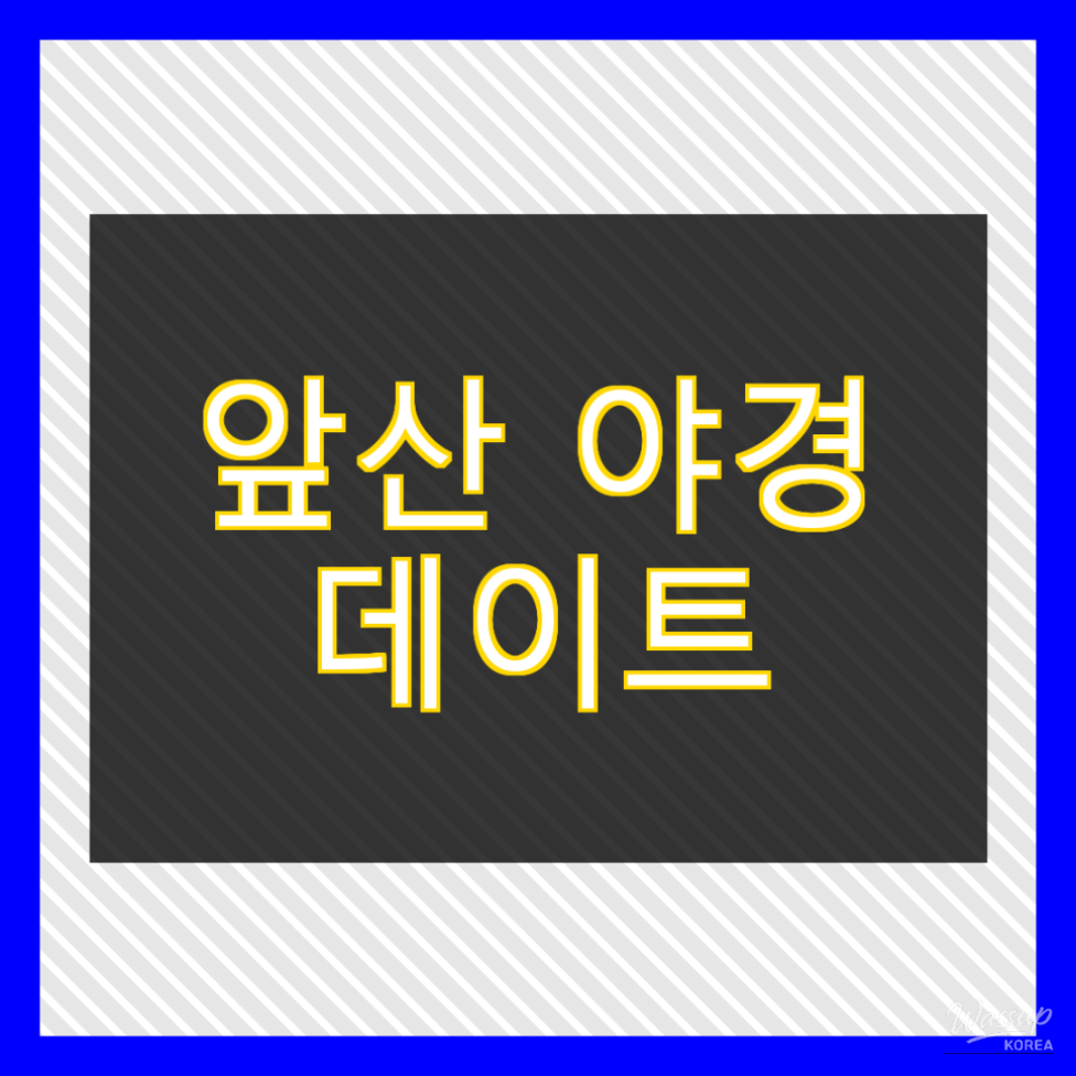 Night view of Apsan Laundry Park during the Christmas Festival