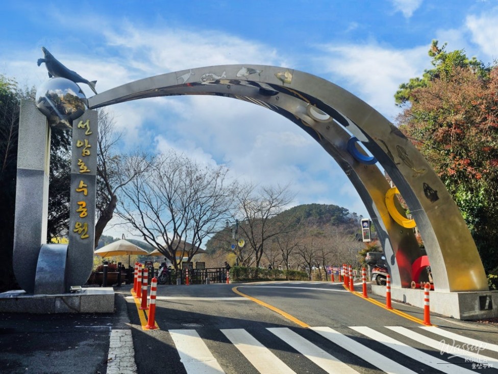 Ulsan Nam-gu Seonam Lake Park: A Christmas Tree Night View Spot_02