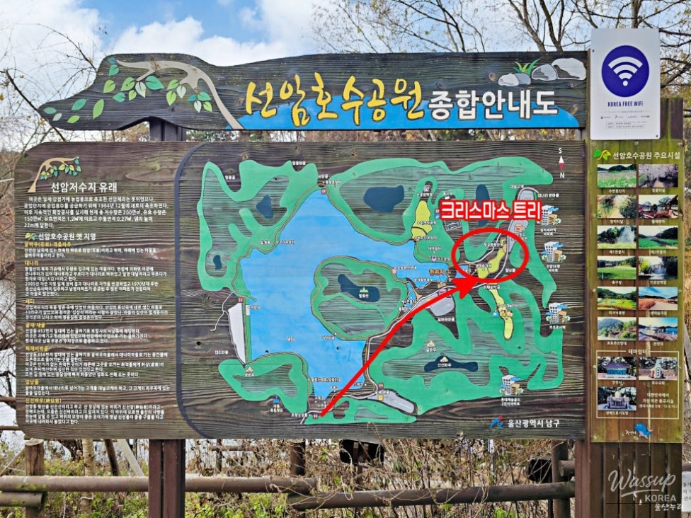 Ulsan Nam-gu Seonam Lake Park: A Christmas Tree Night View Spot_03