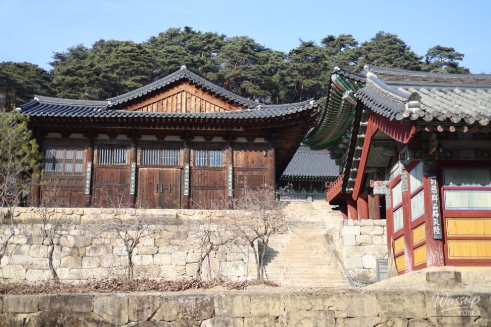 Entrance view of Kimryongsa Temple surrounded by forest in Mungyeong