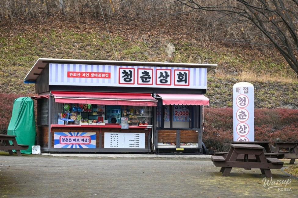 Ecological exhibition hall featuring animal and forest-themed displays for children