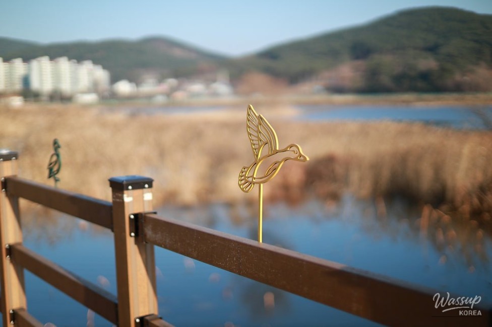 Wooden deck path opening to panoramic views of Pungjeon Reservoir