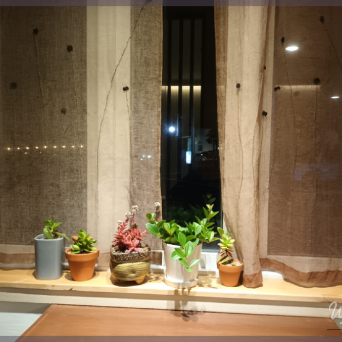 Entrance and interior atmosphere of Jeju Aewol Dream Aroma healing spa