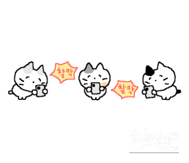 Hanok-style interior of Jang & Feast with modern Korean dining atmosphere