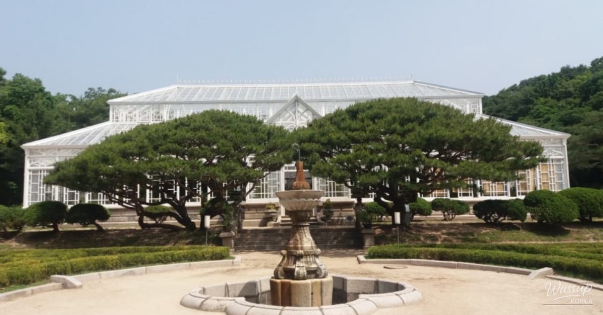Winter view of the Changgyeonggung Great Greenhouse filled with greenery behind glass walls