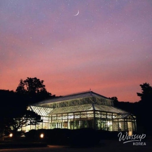 Natural light and shadow patterns inside the Changgyeonggung Great Greenhouse