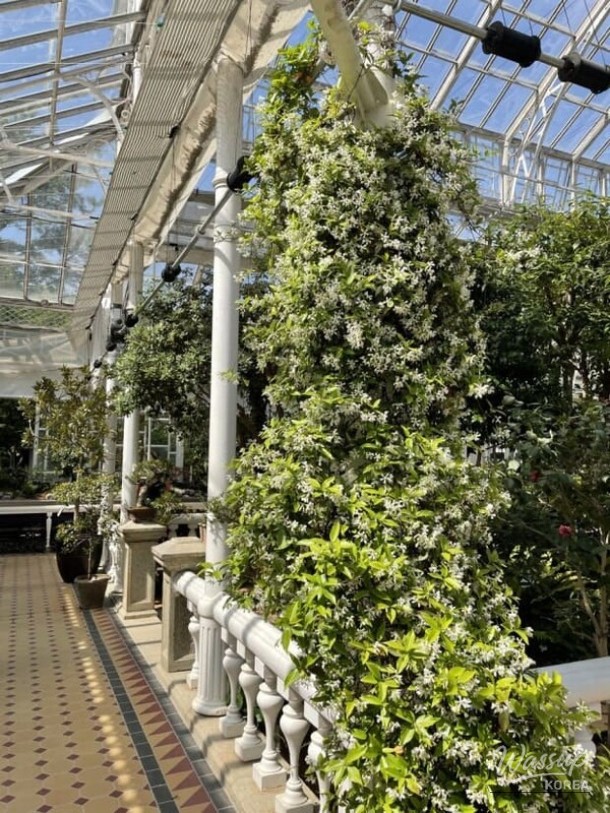 White Renaissance-style architecture of the Changgyeonggung Great Greenhouse with detailed roof design