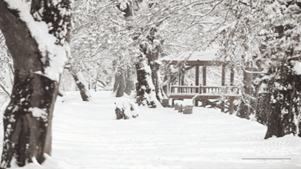 Winter Walks: Top 4 Scenic Snowy Trails in Korea_04