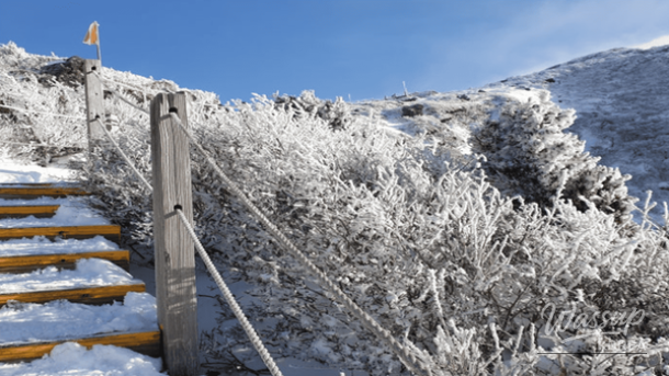 Snowy winter scenery along the Yeongsil course of Hallasan