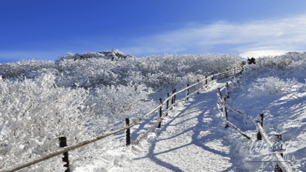 Snow-covered ridges and gondola access at Muju Deogyusan in winter
