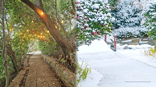 Quiet winter island scenery in South Korea with calm seas and seasonal atmosphere