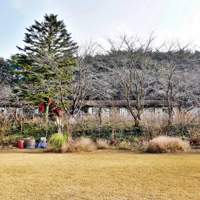 Winter scenery surrounding Ami Art Museum with quiet seasonal atmosphere