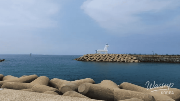 Exploring the Enchanting Winter Wonders of Jeju Island_04