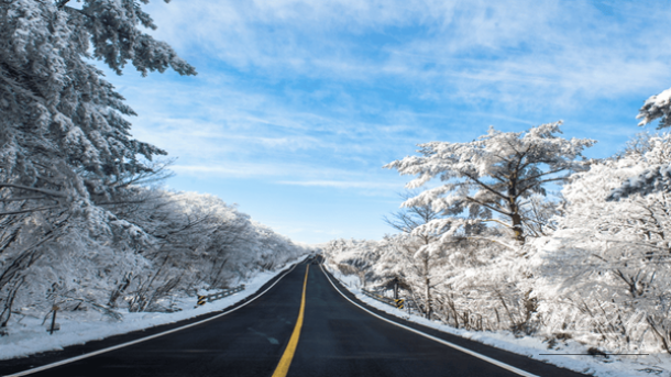 Exploring the Enchanting Winter Wonders of Jeju Island_02