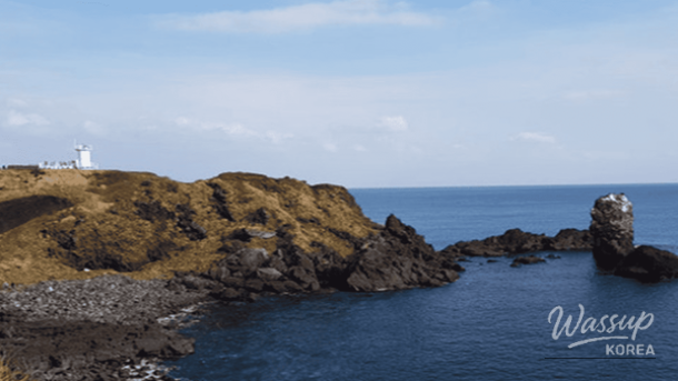 Exploring the Enchanting Winter Wonders of Jeju Island_03