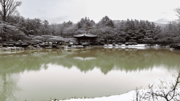 Top 4 Domestic Travel Destinations in Korea_05