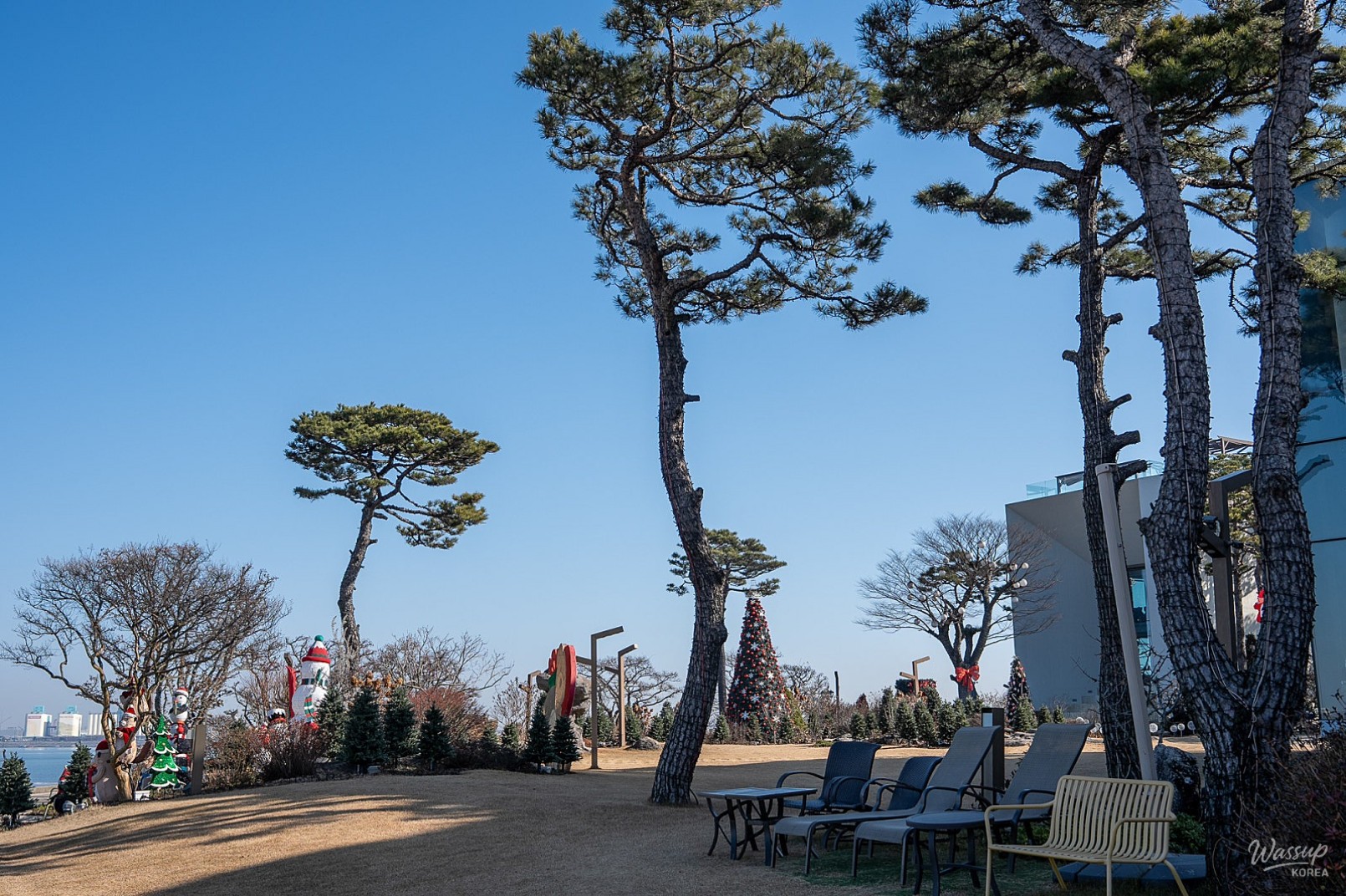 Christmas by the Sea at Maesan Coastal Park_08