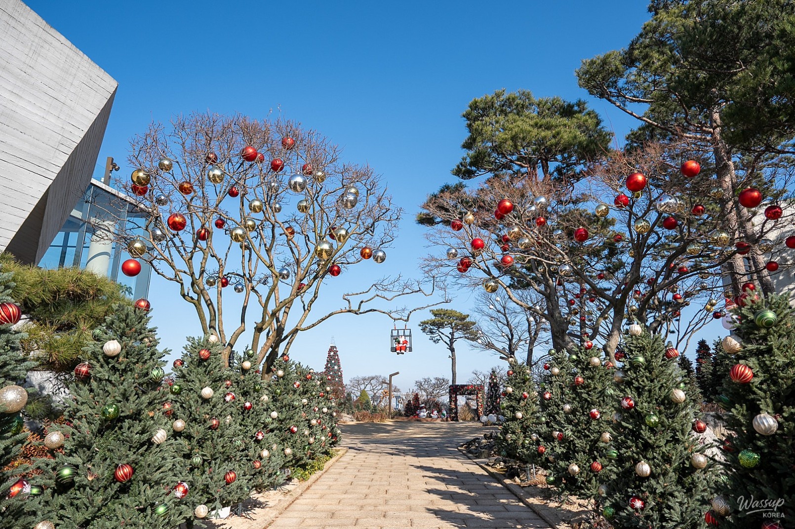 Christmas by the Sea at Maesan Coastal Park_12