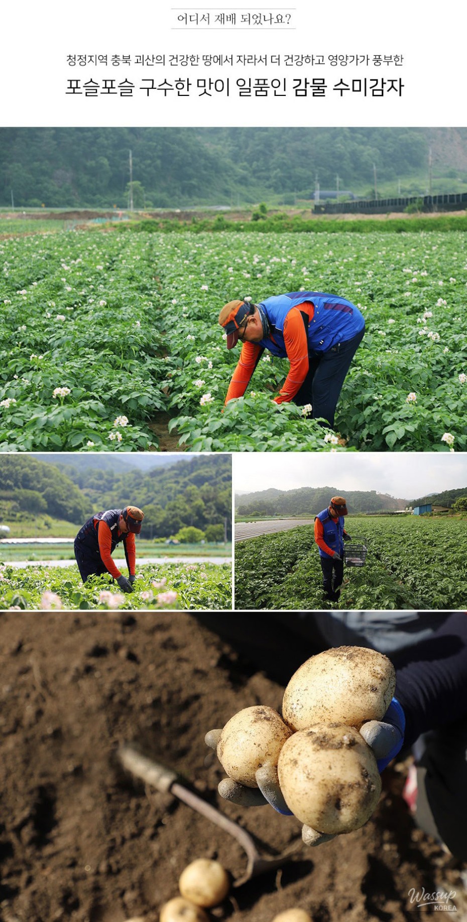 Eco-friendly agricultural products cultivated in Goesan County