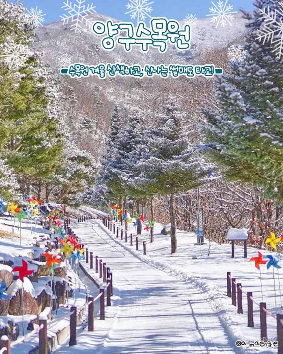 Snow-covered paths and sledding areas at Yanggu Arboretum during winter