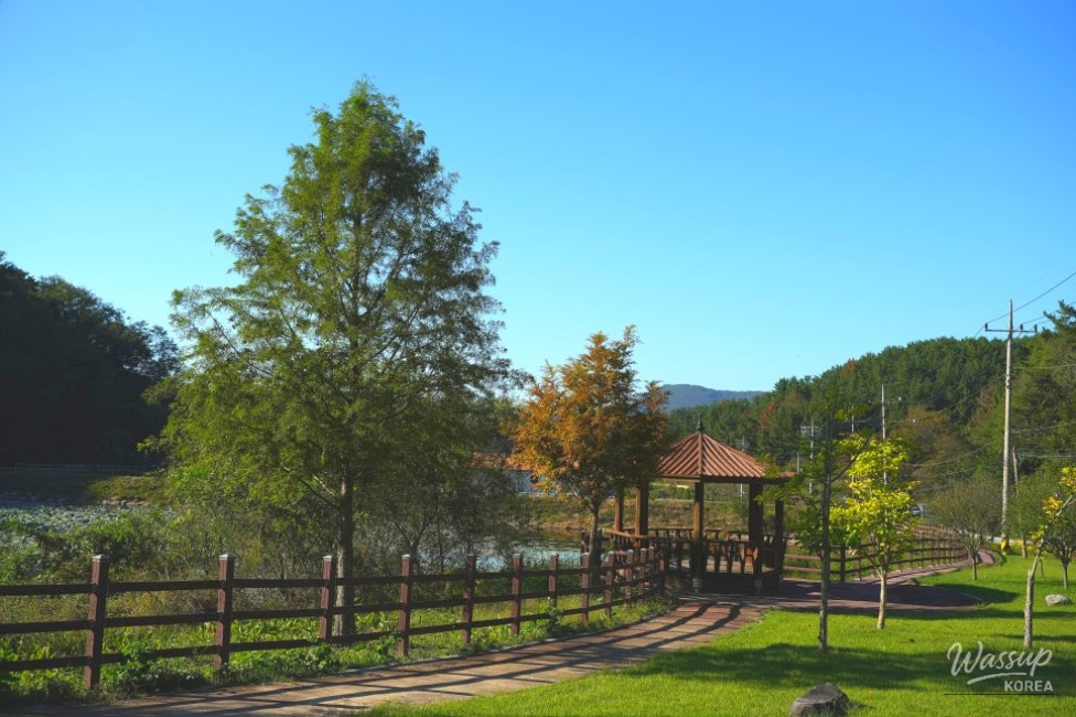 Horses resting calmly inside Hamann Equestrian Park stables