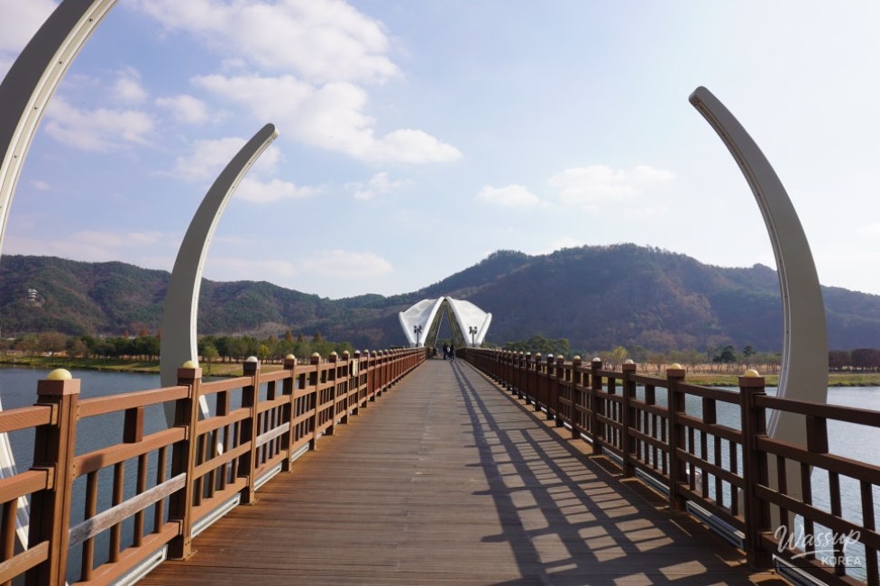 Colorful pinwheels lining the walking paths at Gyeongcheon Island Park