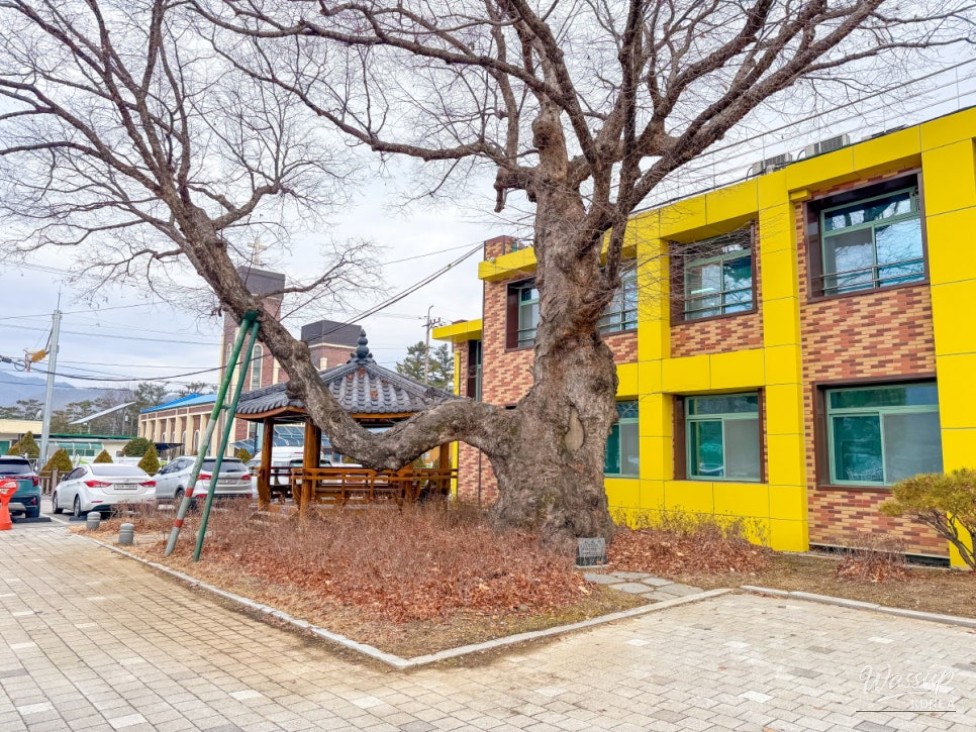 Exploring Goeun: The Historical Significance of Pungnakheon_05