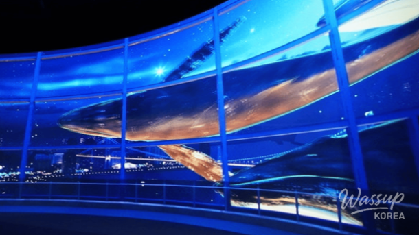 Whale-themed cultural exhibits and seaside scenery at Jangsaengpo in Ulsan